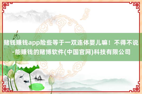 赌钱赚钱app险些等于一双连体婴儿嘛！不得不说-能赚钱的赌博软件(中国官网)科技有限公司