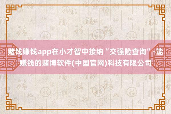 赌钱赚钱app在小才智中接纳“交强险查询”-能赚钱的赌博软件(中国官网)科技有限公司